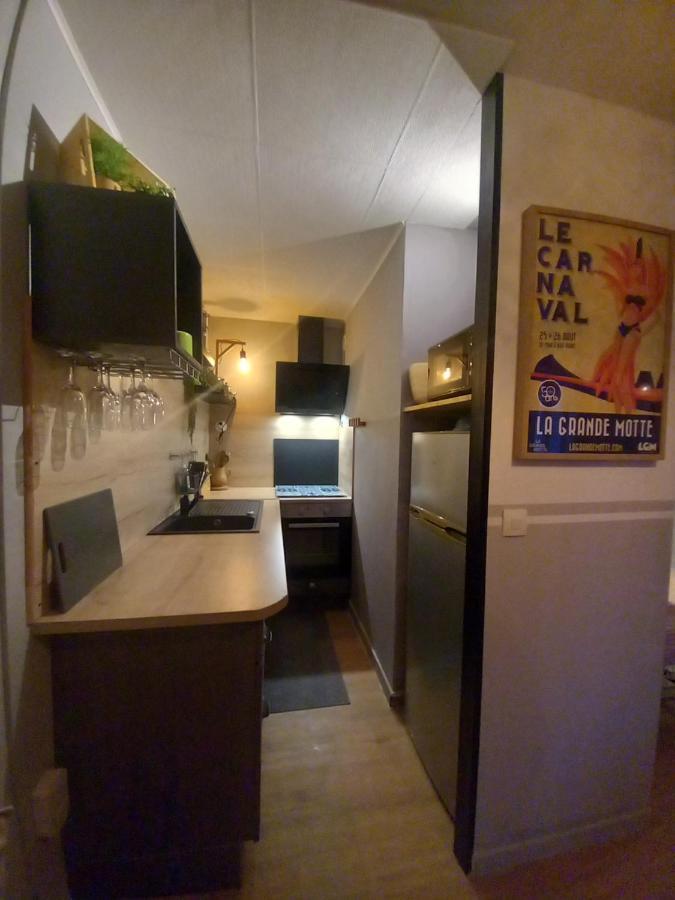 Апартаменты Rose Cote Mer Studio Et Garage, Entree Autonome Ла-Гранд-Мот Экстерьер фото
